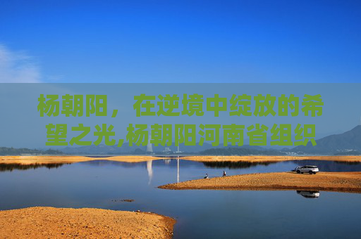 杨朝阳，在逆境中绽放的希望之光,杨朝阳河南省组织部