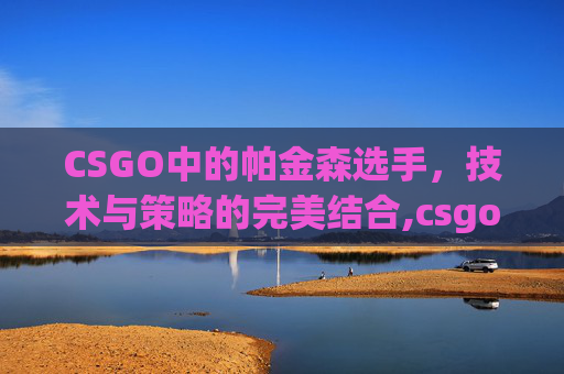 CSGO中的帕金森选手，技术与策略的完美结合,csgo帕沙