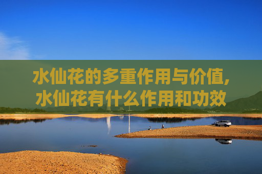 水仙花的多重作用与价值,水仙花有什么作用和功效