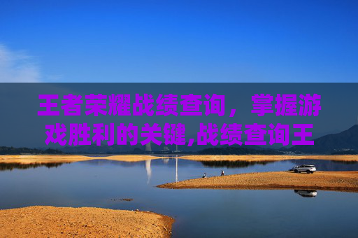 王者荣耀战绩查询，掌握游戏胜利的关键,战绩查询王者荣耀账号