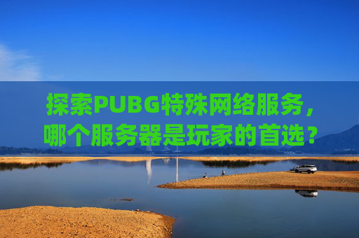 探索PUBG特殊网络服务，哪个服务器是玩家的首选？,pubg特殊名字