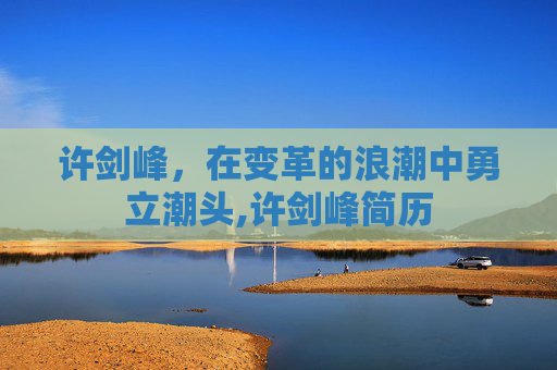 许剑峰，在变革的浪潮中勇立潮头,许剑峰简历