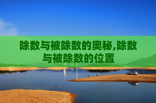 除数与被除数的奥秘,除数与被除数的位置