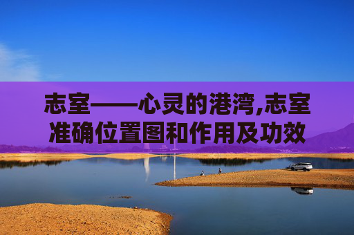 志室——心灵的港湾,志室准确位置图和作用及功效