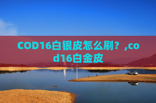 COD16白银皮怎么刷？,cod16白金皮