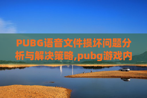 PUBG语音文件损坏问题分析与解决策略,pubg游戏内语音失效