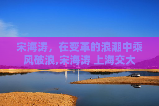 宋海涛，在变革的浪潮中乘风破浪,宋海涛 上海交大