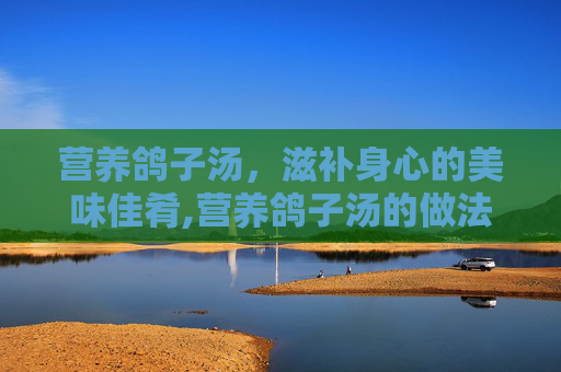 营养鸽子汤，滋补身心的美味佳肴,营养鸽子汤的做法