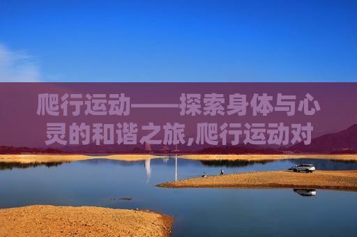 爬行运动——探索身体与心灵的和谐之旅,爬行运动对身体有什么好处和害处
