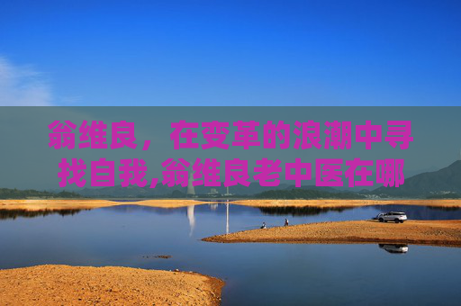 翁维良，在变革的浪潮中寻找自我,翁维良老中医在哪里坐诊