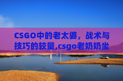 CSGO中的老太婆，战术与技巧的较量,csgo老奶奶坐轮椅