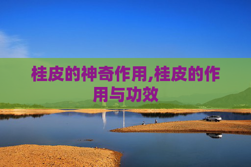 桂皮的神奇作用,桂皮的作用与功效