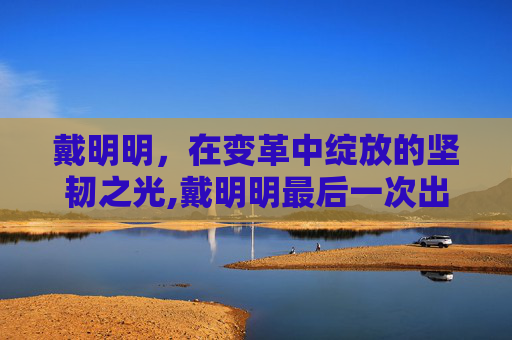 戴明明，在变革中绽放的坚韧之光,戴明明最后一次出场