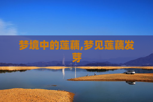 梦境中的莲藕,梦见莲藕发芽