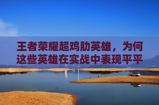王者荣耀超鸡肋英雄，为何这些英雄在实战中表现平平？,王者辣鸡英雄