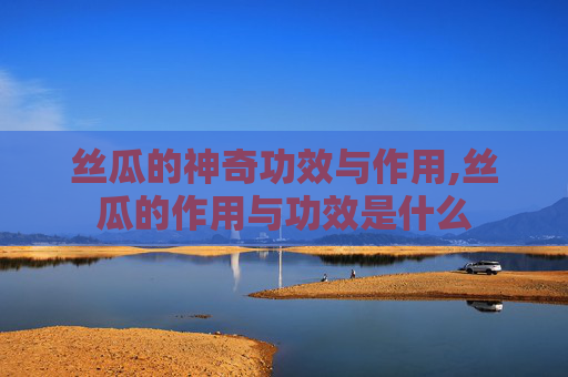 丝瓜的神奇功效与作用,丝瓜的作用与功效是什么