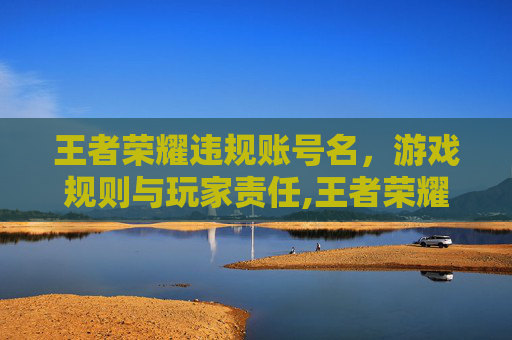 王者荣耀违规账号名，游戏规则与玩家责任,王者荣耀违规账号名称