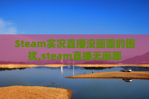Steam实况直播没画面的困扰,steam直播无画面