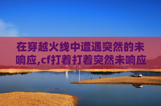 在穿越火线中遭遇突然的未响应,cf打着打着突然未响应怎么回事