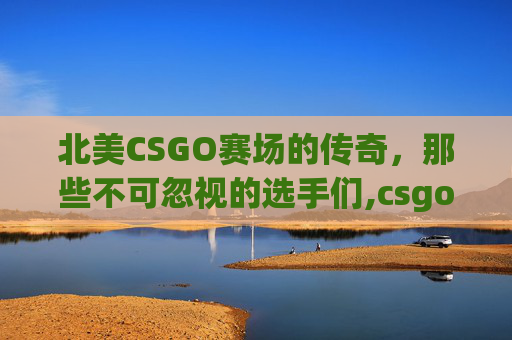 北美CSGO赛场的传奇，那些不可忽视的选手们,csgo北美第一