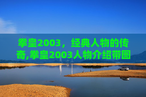 拳皇2003，经典人物的传奇,拳皇2003人物介绍带图