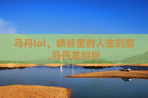 马丹lol，峡谷里的人生刻度,马丹龙纠纷