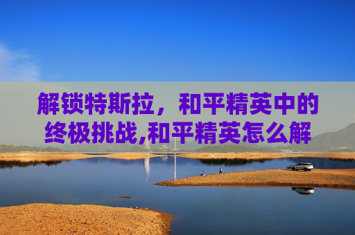 解锁特斯拉，和平精英中的终极挑战,和平精英怎么解锁特斯拉皮肤