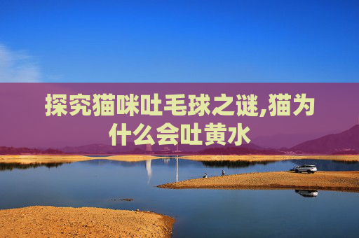 探究猫咪吐毛球之谜,猫为什么会吐黄水