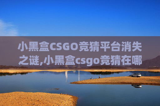 小黑盒CSGO竞猜平台消失之谜,小黑盒csgo竞猜在哪里