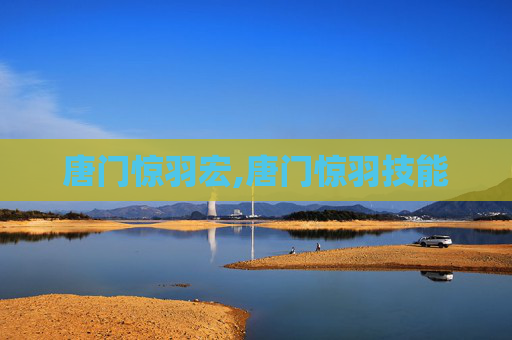 唐门惊羽宏,唐门惊羽技能
