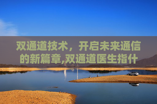 双通道技术，开启未来通信的新篇章,双通道医生指什么
