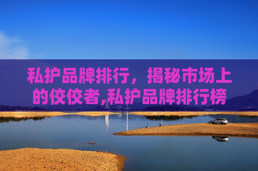 私护品牌排行，揭秘市场上的佼佼者,私护品牌排行榜