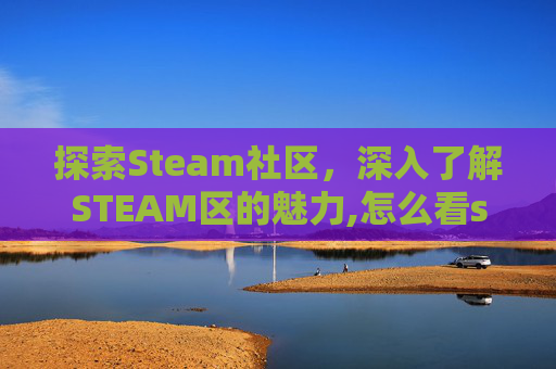探索Steam社区，深入了解STEAM区的魅力,怎么看steam区服