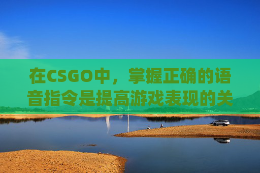 在CSGO中，掌握正确的语音指令是提高游戏表现的关键,csgo按住什么说语音会有声音