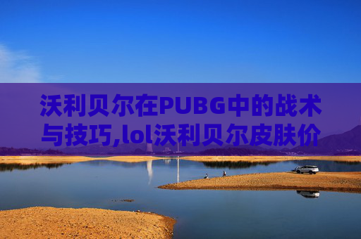 沃利贝尔在PUBG中的战术与技巧,lol沃利贝尔皮肤价格表