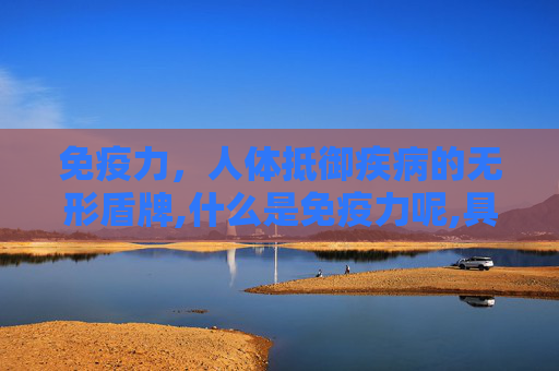 免疫力，人体抵御疾病的无形盾牌,什么是免疫力呢,具体指的是什么?