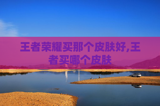 王者荣耀买那个皮肤好,王者买哪个皮肤