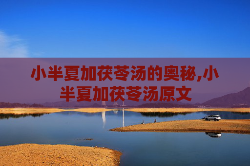 小半夏加茯苓汤的奥秘,小半夏加茯苓汤原文