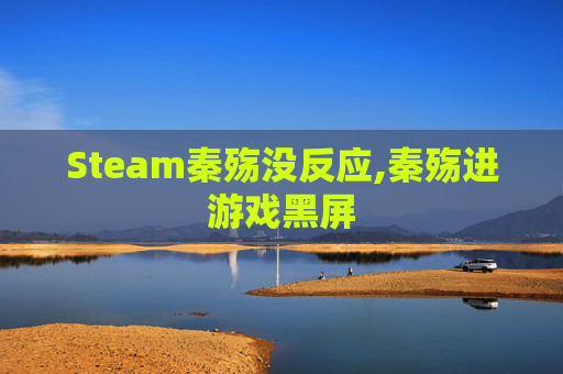 Steam秦殇没反应,秦殇进游戏黑屏