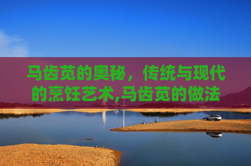 马齿苋的奥秘，传统与现代的烹饪艺术,马齿苋的做法和吃法