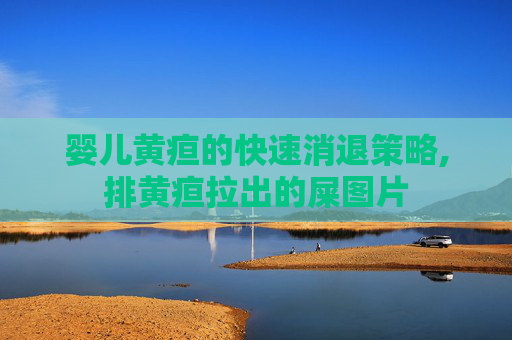 婴儿黄疸的快速消退策略,排黄疸拉出的屎图片