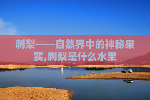 刺梨——自然界中的神秘果实,刺梨是什么水果