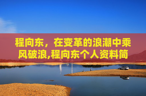 程向东，在变革的浪潮中乘风破浪,程向东个人资料简介