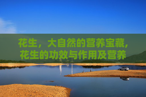 花生，大自然的营养宝藏,花生的功效与作用及营养