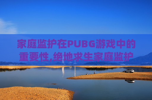 家庭监护在PUBG游戏中的重要性,绝地求生家庭监护pin码怎么打出来