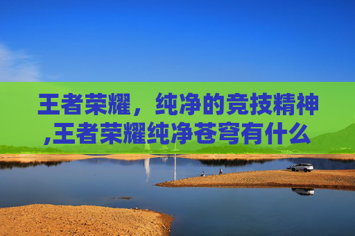 王者荣耀，纯净的竞技精神,王者荣耀纯净苍穹有什么用