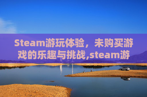Steam游玩体验，未购买游戏的乐趣与挑战,steam游戏没了 写着购买