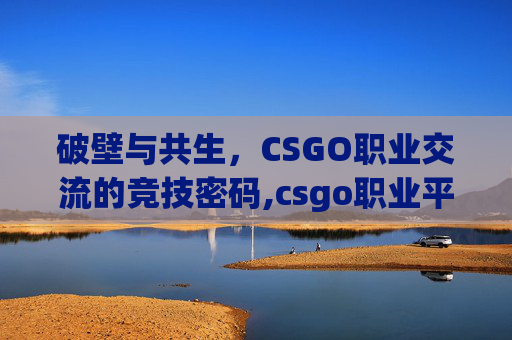 破壁与共生，CSGO职业交流的竞技密码,csgo职业平台