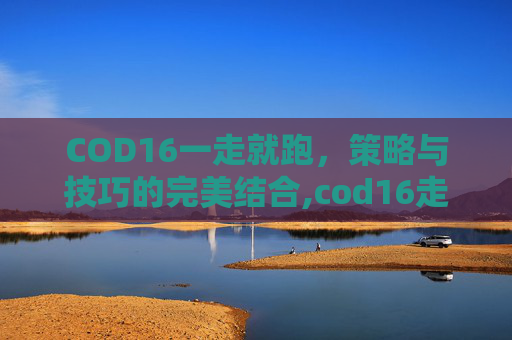 COD16一走就跑，策略与技巧的完美结合,cod16走两步卡一下