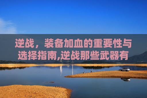 逆战，装备加血的重要性与选择指南,逆战那些武器有加成